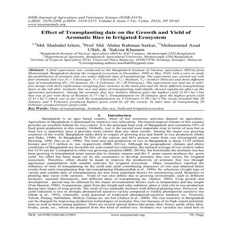 Effect of Transplanting date on the Growth and Yield of Aromatic Rice in Irri...