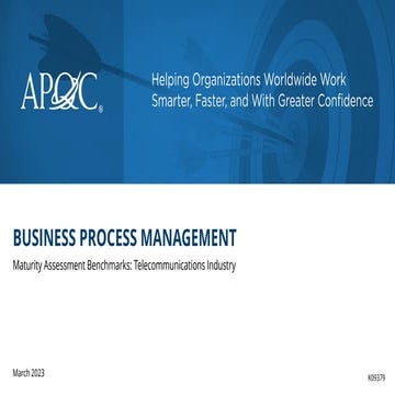 K09379_Business Process Management MAT Telecommunications Industry.pdf