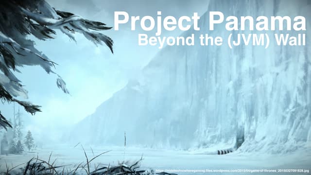 Project Panama - Beyond the (JVM) Wall