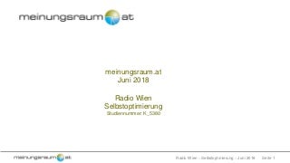 Selbstoptimierung - Radio Wien, 06.06.2018