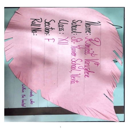 BST Project Class XII on Stock Exchange.