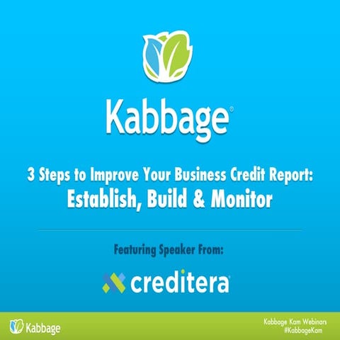 3 Steps to Improve Your Business Credit Report: Establish, Build & Monitor