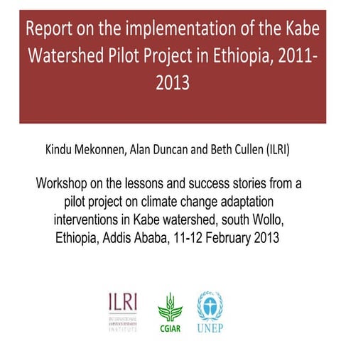 Report on the implementation of the Kabe Watershed Pilot Project in Ethiopia,...
