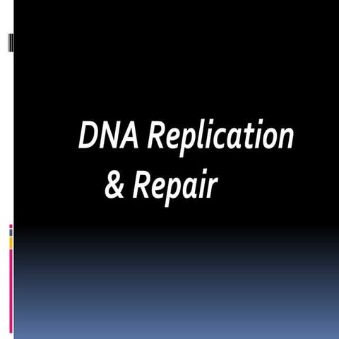 DNA REPLICATION AND REPAIR