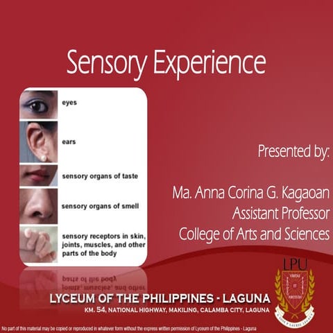 Kagaoan - Sensory Experience Sensory Experience.ppt