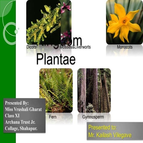 Kingdom Plantae presented by Vrushali Gharat to Mr. Kailash vilegave