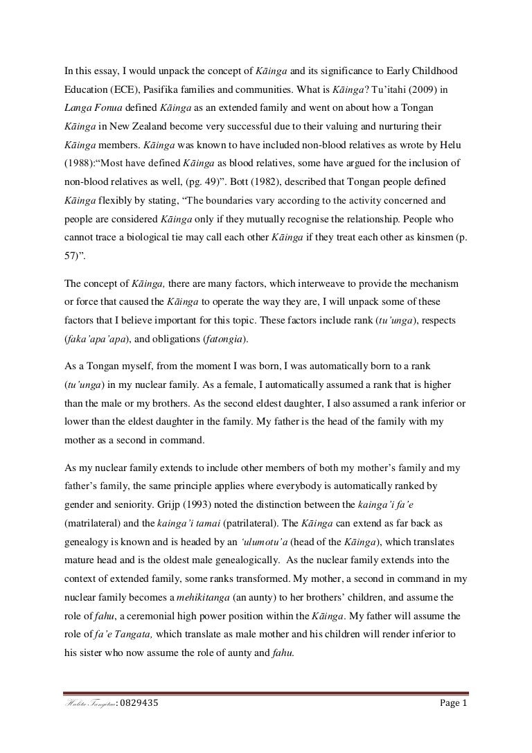 essay on nuclear family