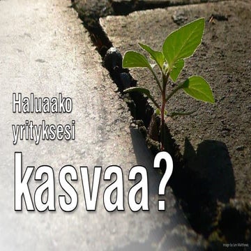 Kaipaako yrityksesi kasvua?