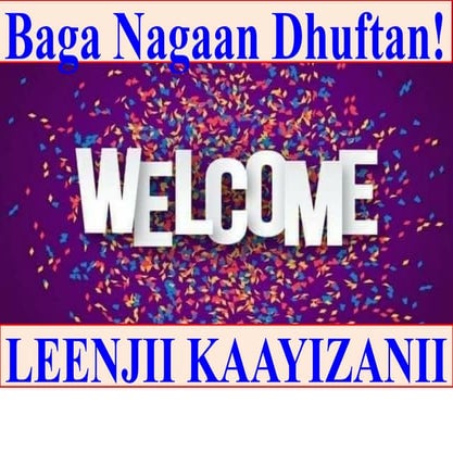 kaizen highlight for Kaayzanii dha (1).pptx