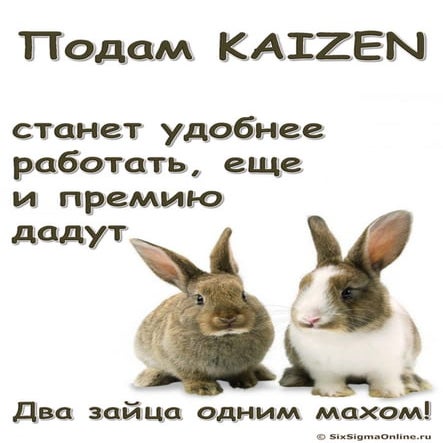 Постеры: два зайца одним махом