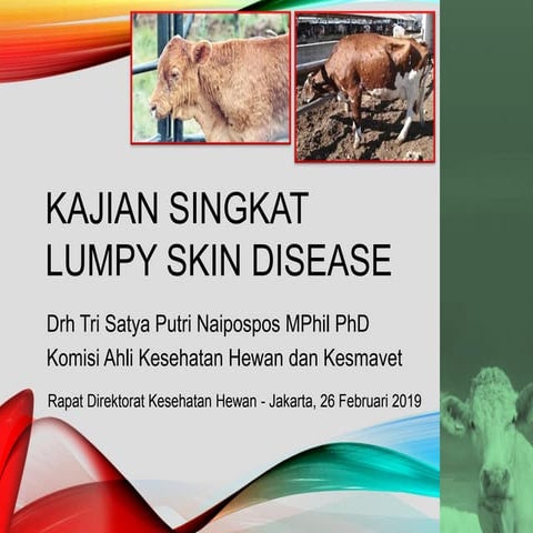 Kajian singkat Lumpy Skin Disease -  Ditkeswan, Jakarta, 26 Februari 2019