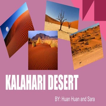 Kalahari desert