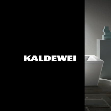 Kaldewei 2011 Overview