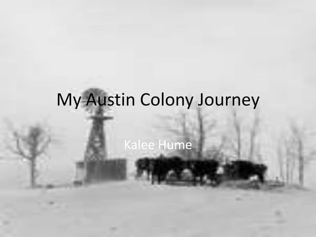 Kaleehume 3222