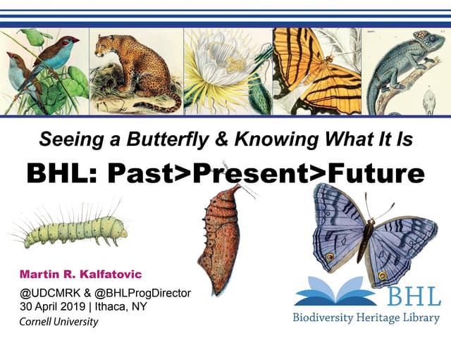 Seeing a Butterfly & Knowing What It Is: BHL: Past > Present > Future
