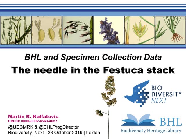 BHL and Specimen Collection Data: The needle in the Festuca stack