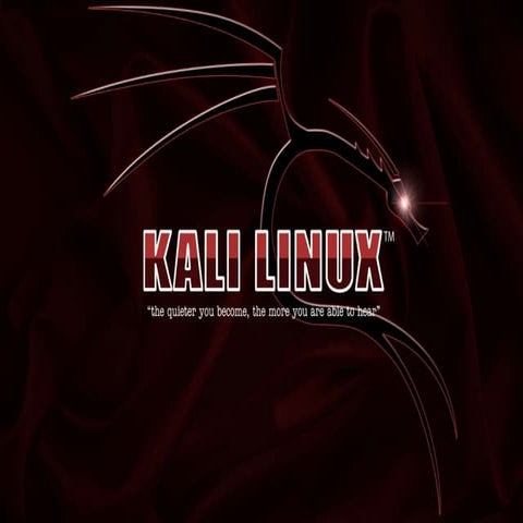 Kali linux summarised