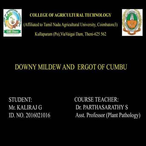 Downy mildew and Ergot of pearl millet