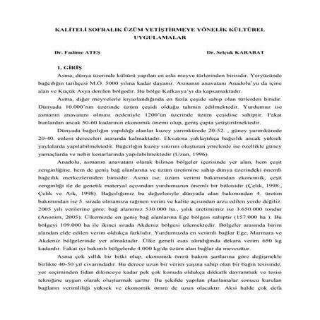 Kaliteli sofralik uzum yetistiriciligi 