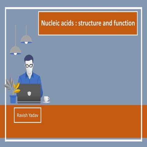 Nucleic acids: structure and function