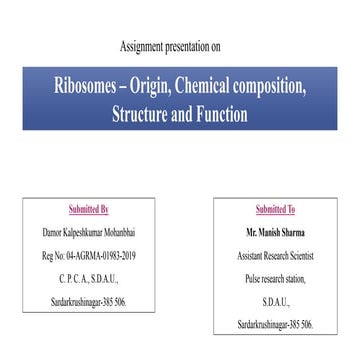 Ribosomes - Origin, Chemical composition, Structure and Function