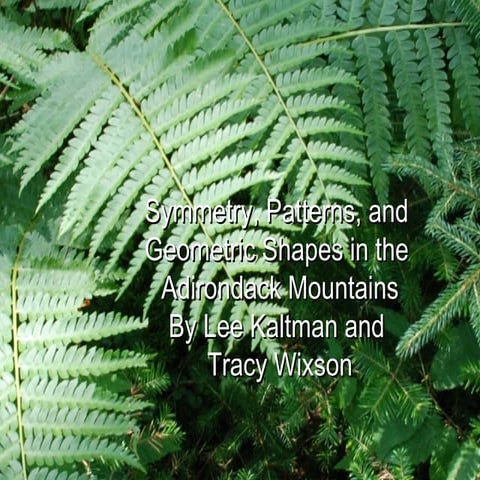 Patterns  Symmetry in Math_ SUNY Cortland_072010