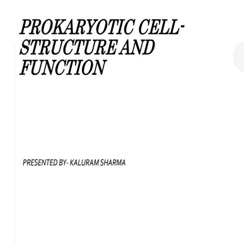 PROKARYOTIC CELL