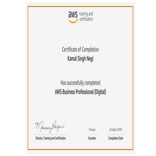AWS Business Professional (Digital) Certification | PDF