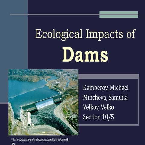 2011 10 5 dams.ppt