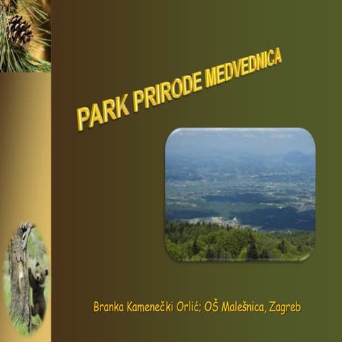 Kamenecki medvednica