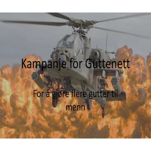 Kampanje for guttenett