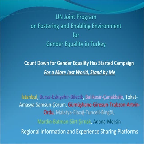 UN Joint Program on Fostering and Enabling Environment for Gender Equality in...
