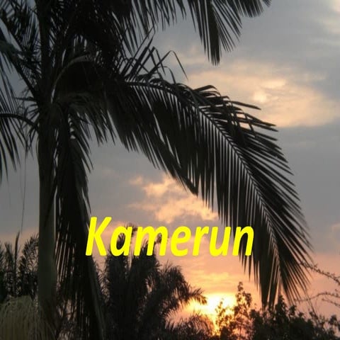 Nasza codzienność w Kamerunie