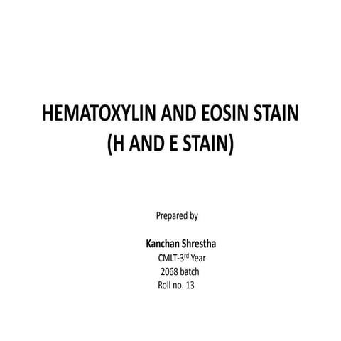  H & E STAIN