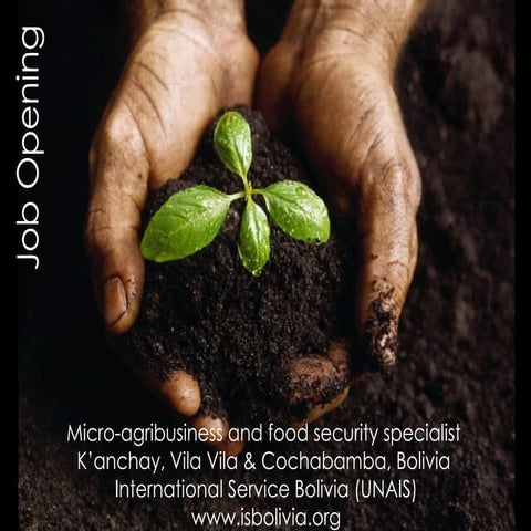 Job opening: Micro-agribusiness and food security specialist, Bolivia