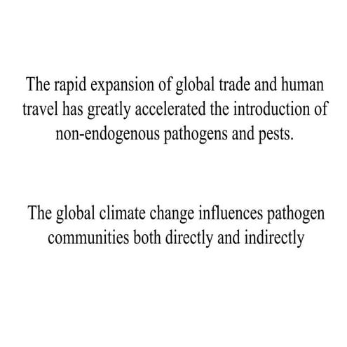 Kang Fighting Phytophthora 08