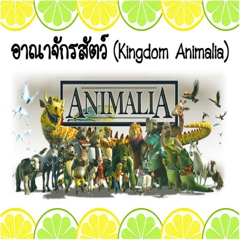 Kingdom Animalia