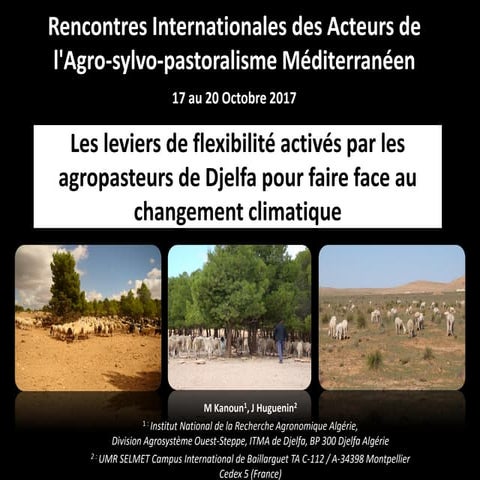 Les leviers de flexibilité activés par les agropasteurs de Djelfa pour faire ...