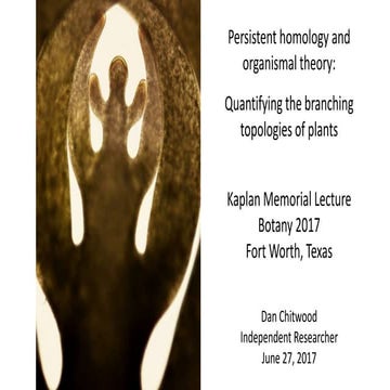 Persistent homology and organismal theory: Quantifying the branching topologies of plants