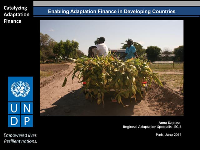 Kaplina undp climate finance in developing countries 