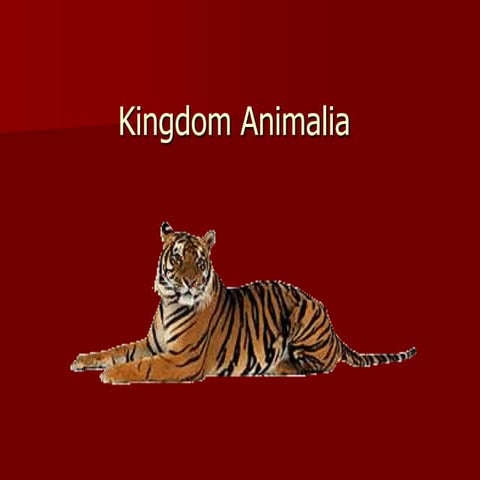 Power Point Biologi Bab Kingdom Animalia