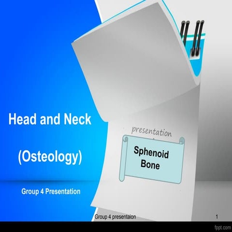 Sphenoid bone (osteology)