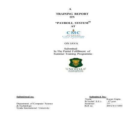 summer training report on payroll at cmc