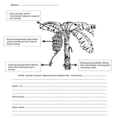 Bahasa Melayu Tahun 3 