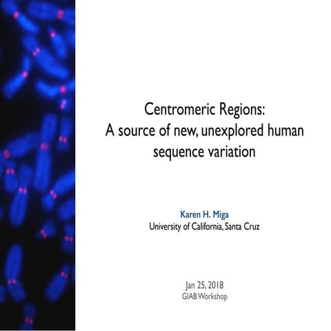 Karen miga centromere sequence characterization and variant detection