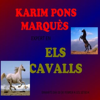 Karim els cavalls