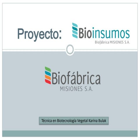 Karina Bulak - “Biotecnología al alcance del productor” - Boas Práticas Agrop...