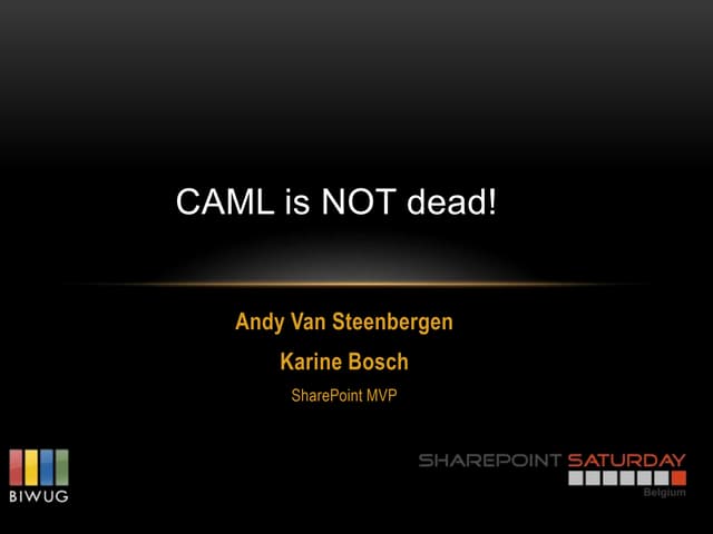 Karine bosch andy-van_steenbergen-caml-spsbe12