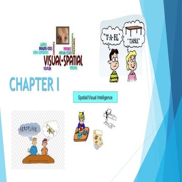 Visual Spatial HCS.pdf