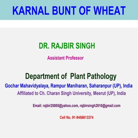 Karnal bunt of wheat
